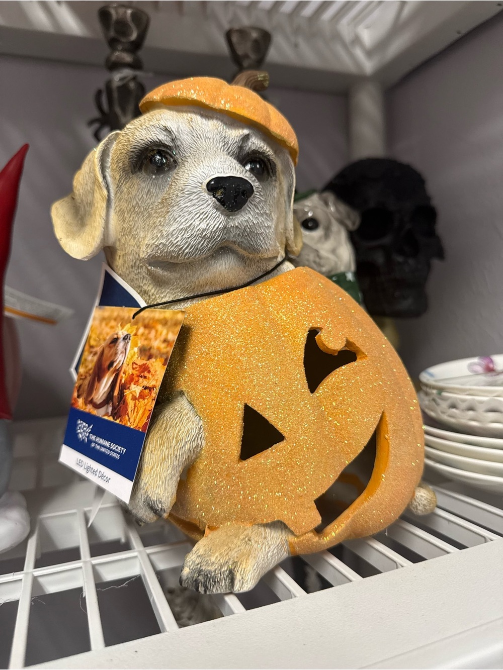 Halloween Pumpkin labrador retriever LED Decor - Orange